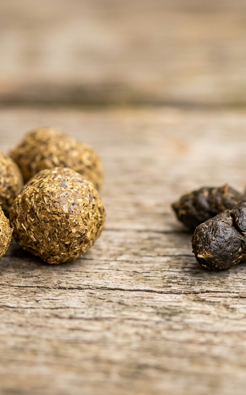 A close up photo of healthy round fibrous rabbit droppings next to smaller dry ones for comparison.